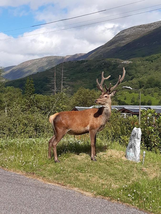 Etive Pod, West Highland Way Holidays Kinlochleven Εξωτερικό φωτογραφία